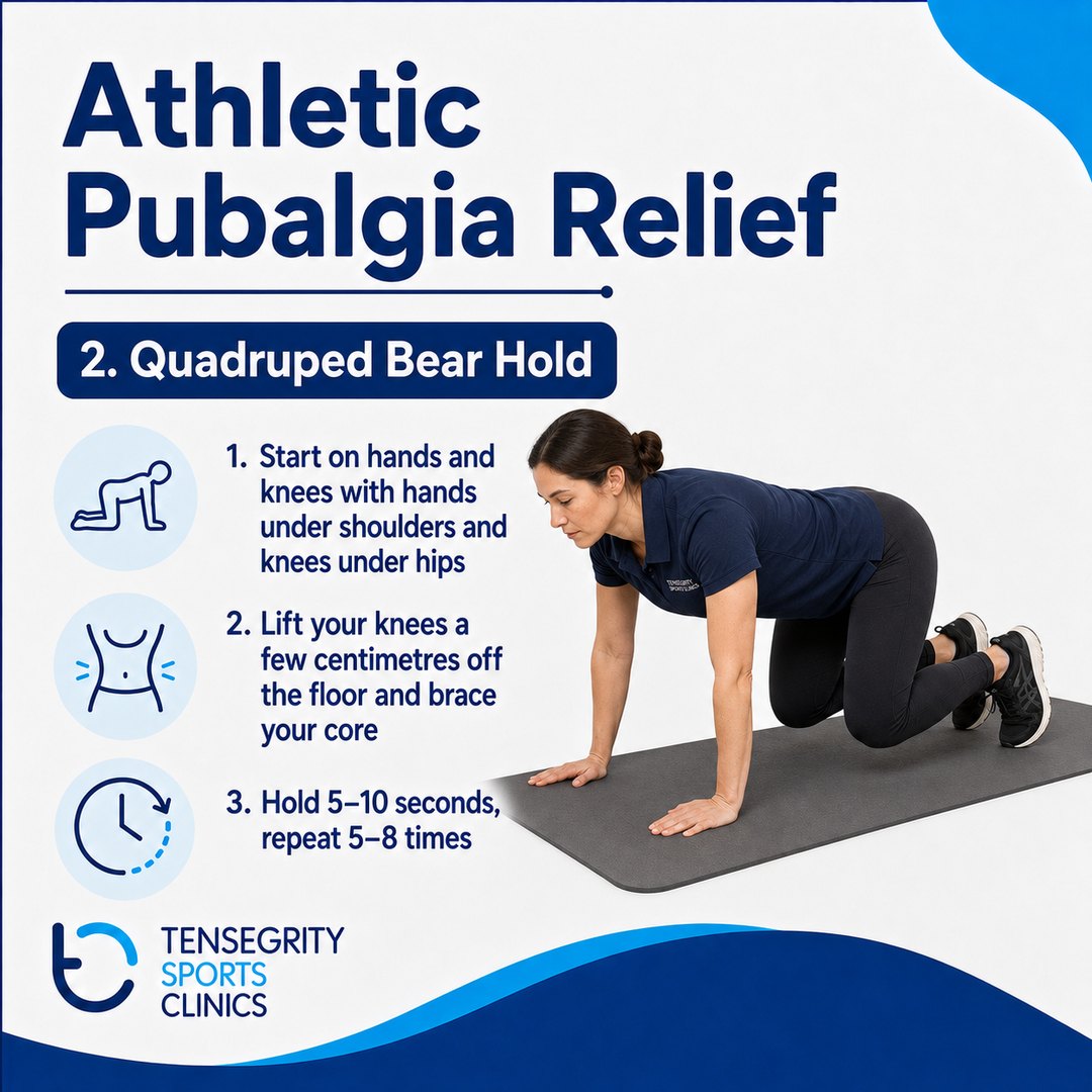 Quadruped bear hold, exercise 2 for athletic pubalgia